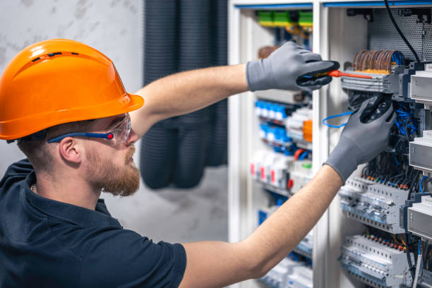 Best Electric Panel Repair  in Roberta, GA